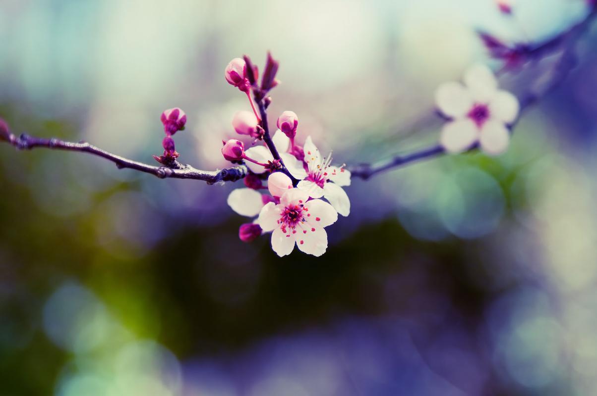 Nouveau programme sur Florensac !