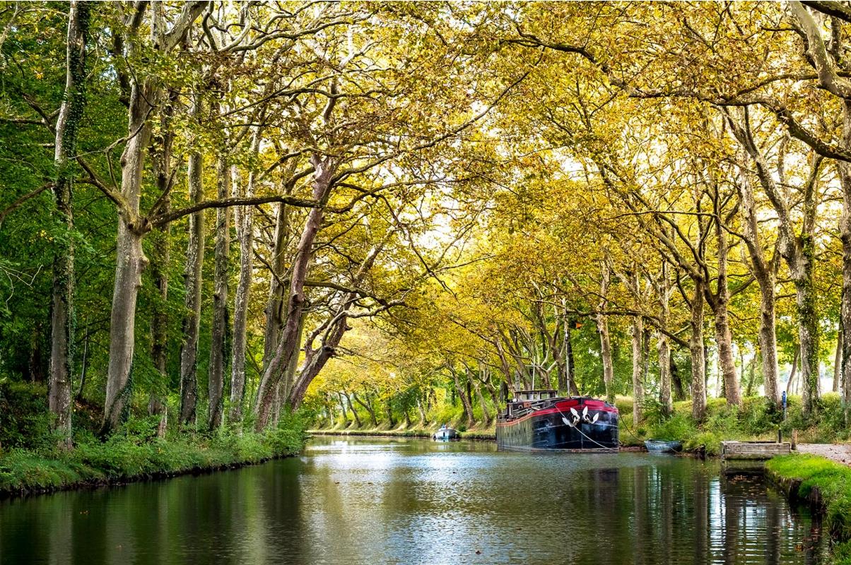 Colombiers : nouvelle tranche !