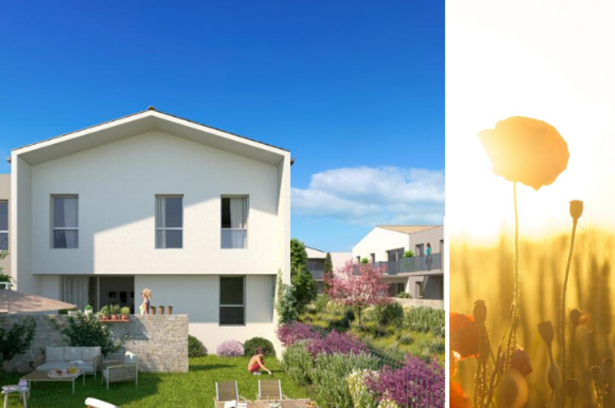 terrain-a-batir-que-choisir-entre-terrain-en-lotissement-ou-terrain-isole