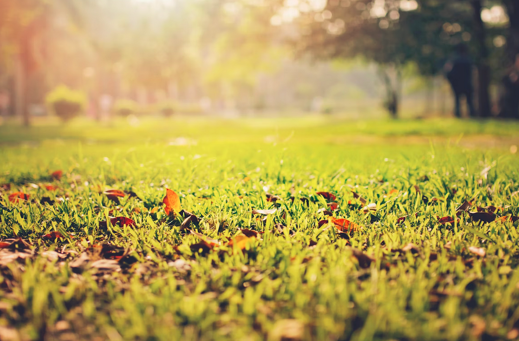 achat-dun-terrain-a-batir-quel-delai-de-retractation