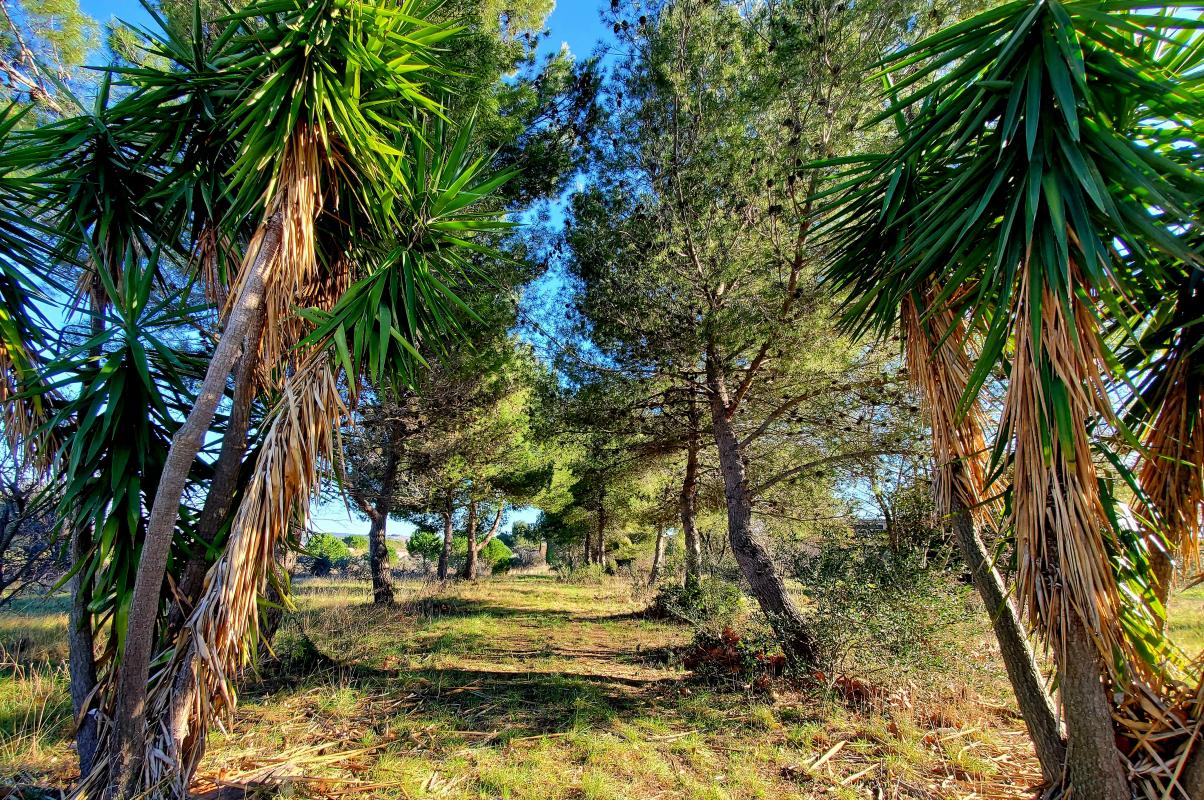 Nouveau : Découvrez nos terrains à bâtir à Alignan-du-Vent