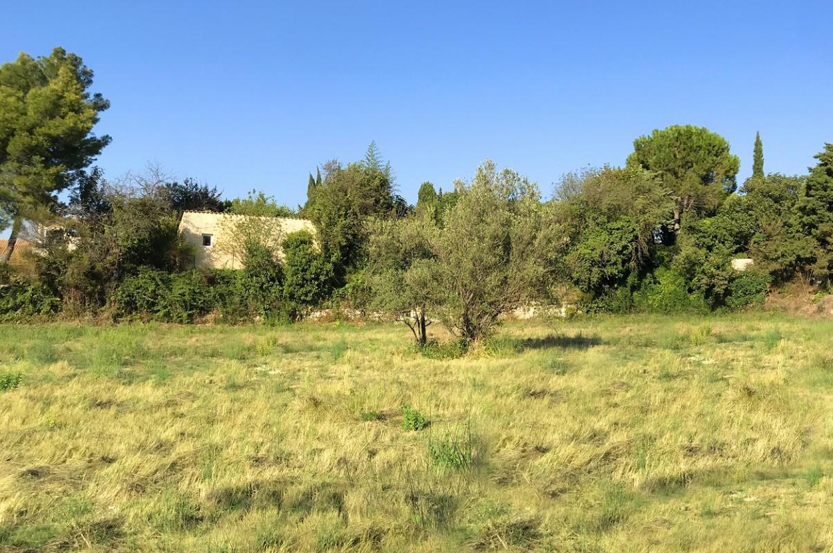 Découvrez notre dernière opération à Salles d’Aude : La Pierre Blanche 