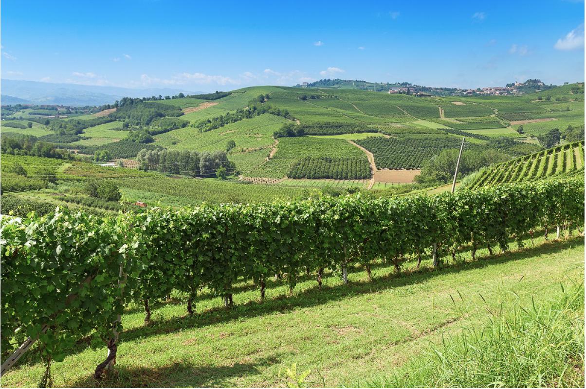 Nos programmes de terrains à bâtir aux alentours de Carcassonne
