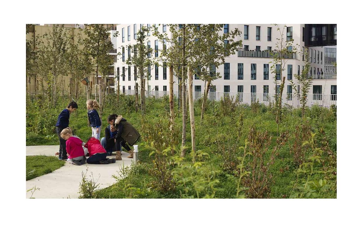 construction-a-biodiversite-positive-l-avenir-de-l-habitation