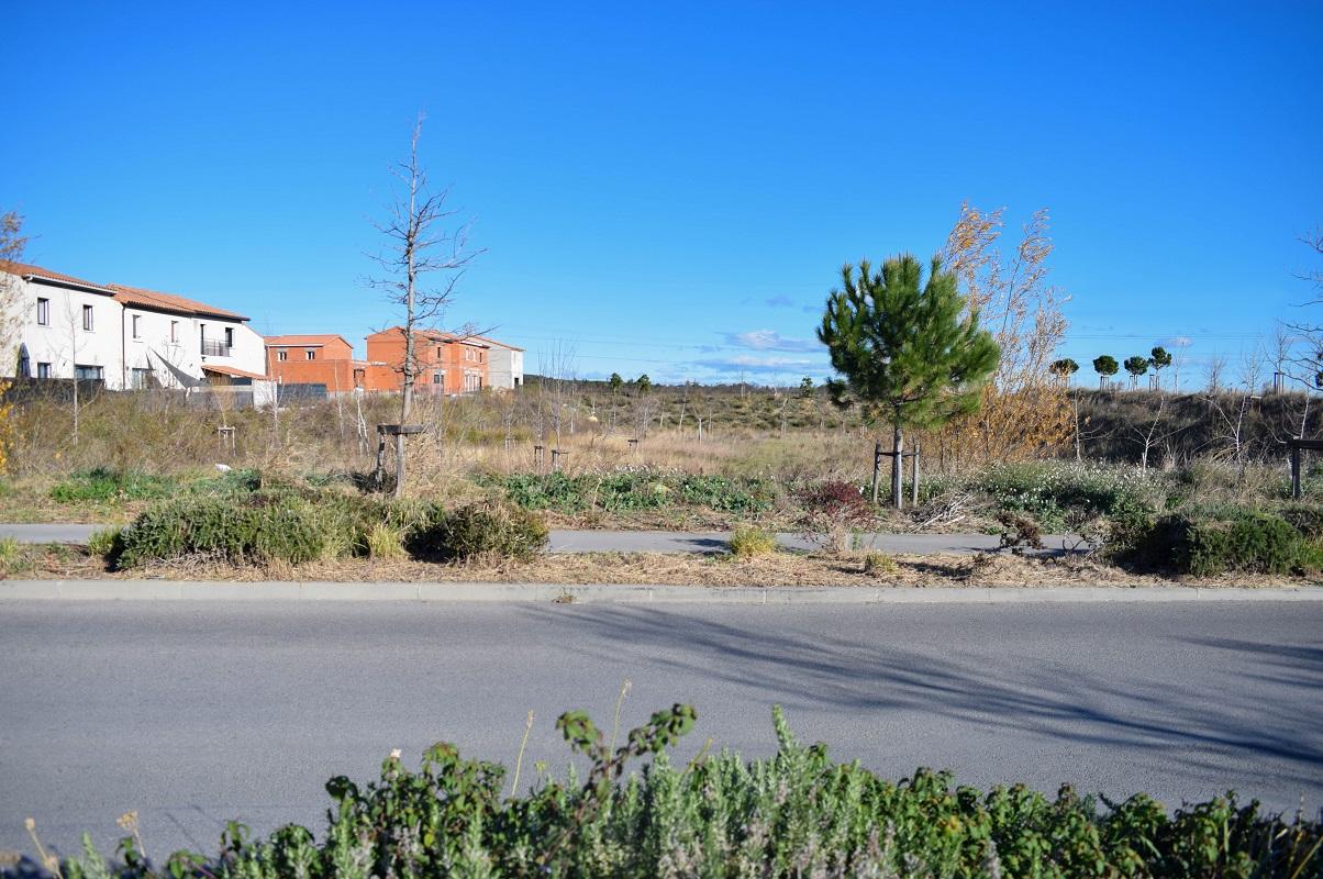 À Cournonterral, le lotissement Les Jardins d\'Hélios est achevé