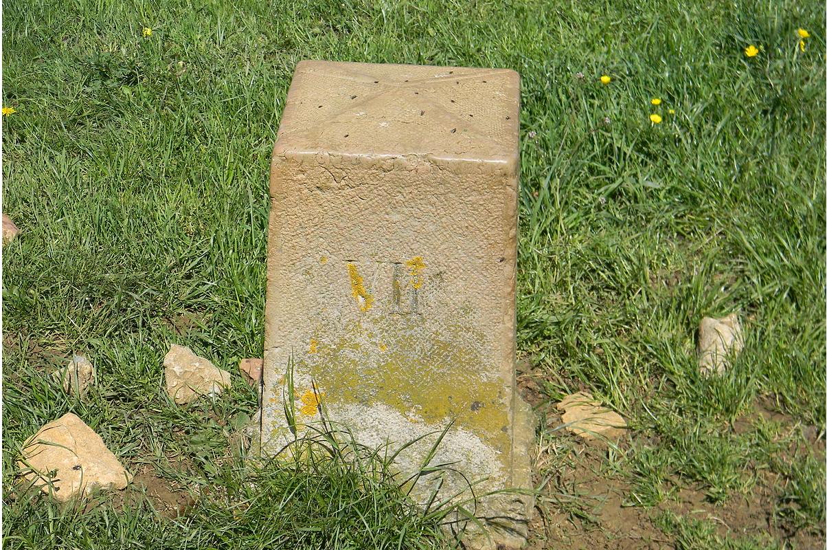 comment-faire-pour-delimiter-son-terrain