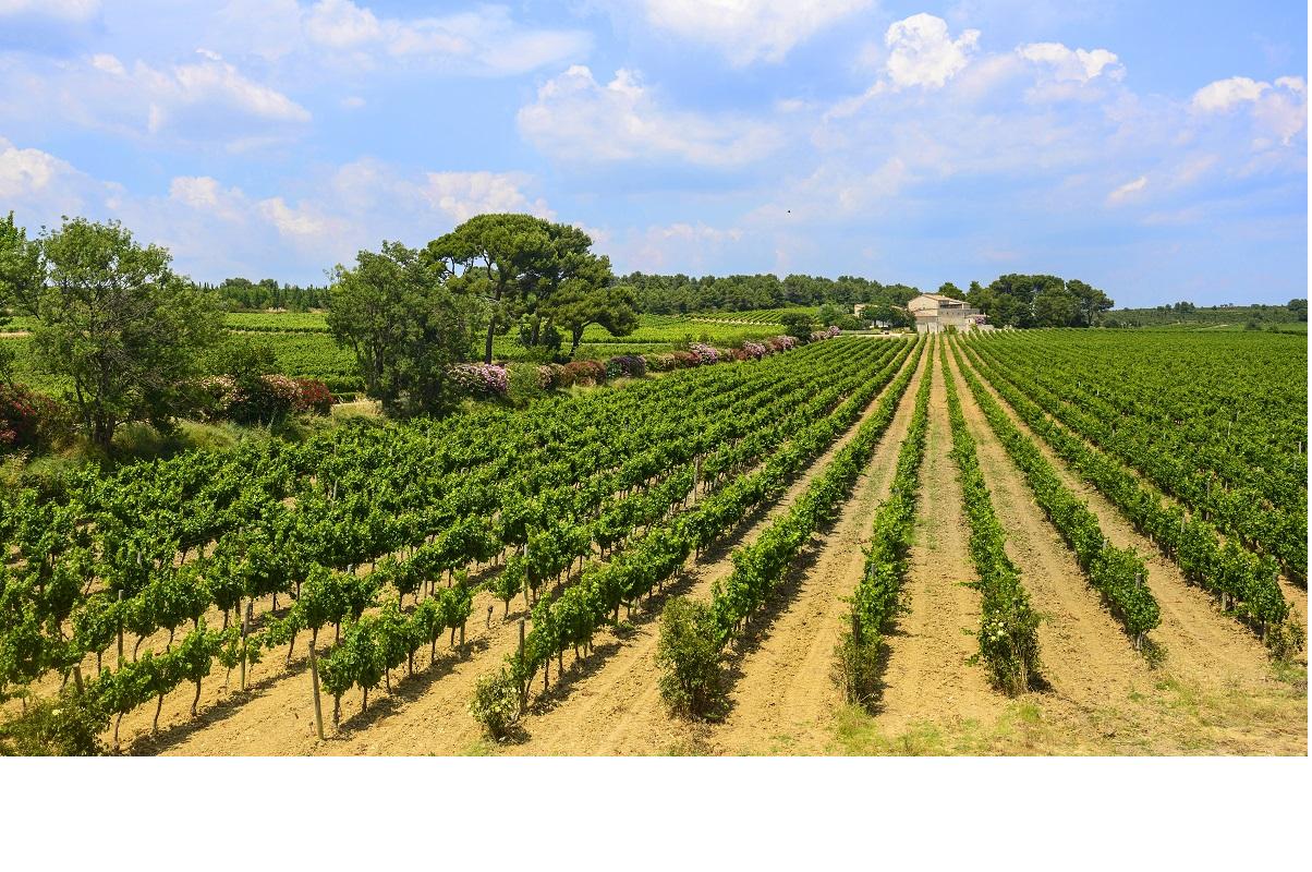 les-hauts-de-la-gardiole-un-nouveau-quartier-residentiel-a-montblanc