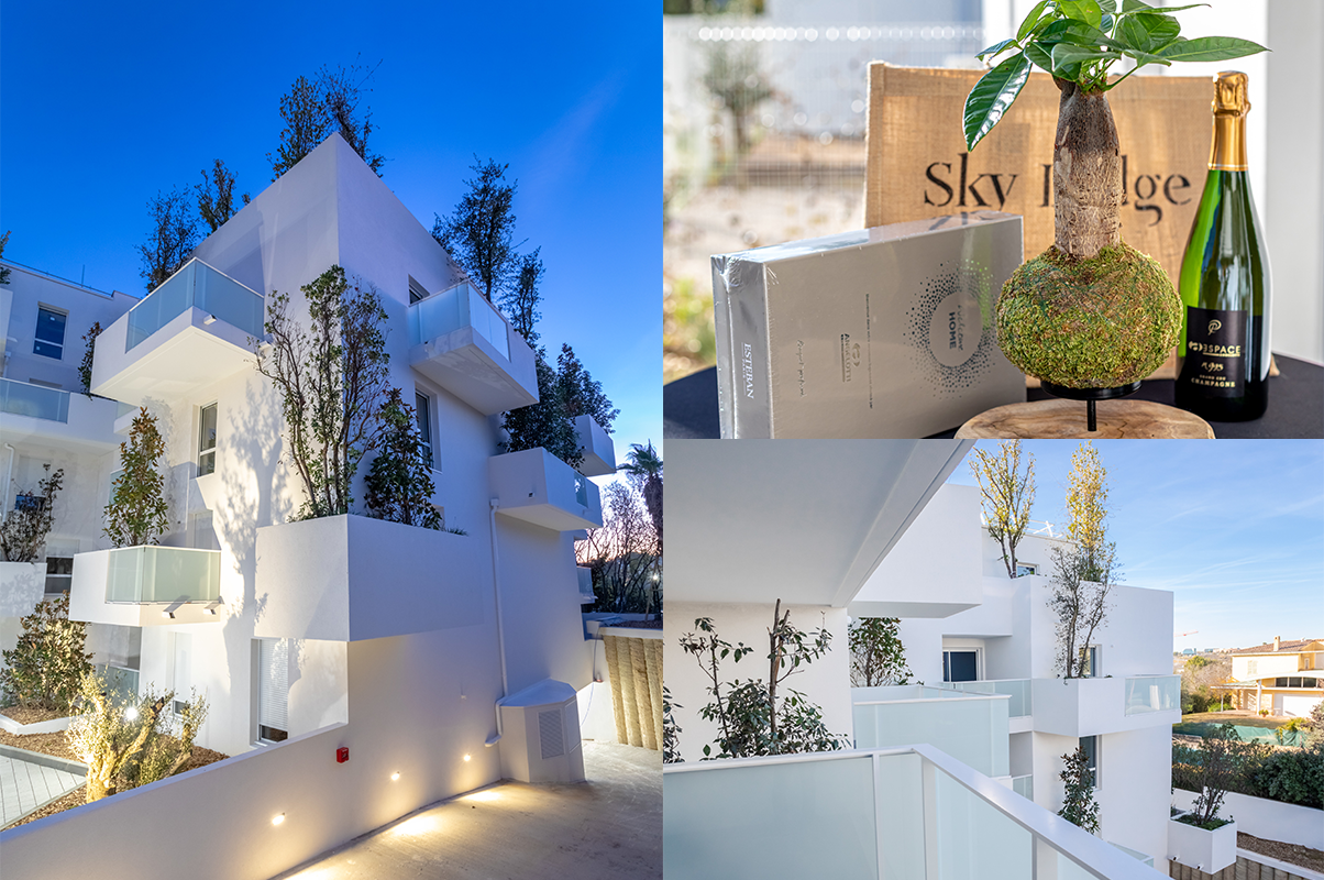 montpellier-livraison-de-sky-lodge-notre-residence-aux-facades-arborees
