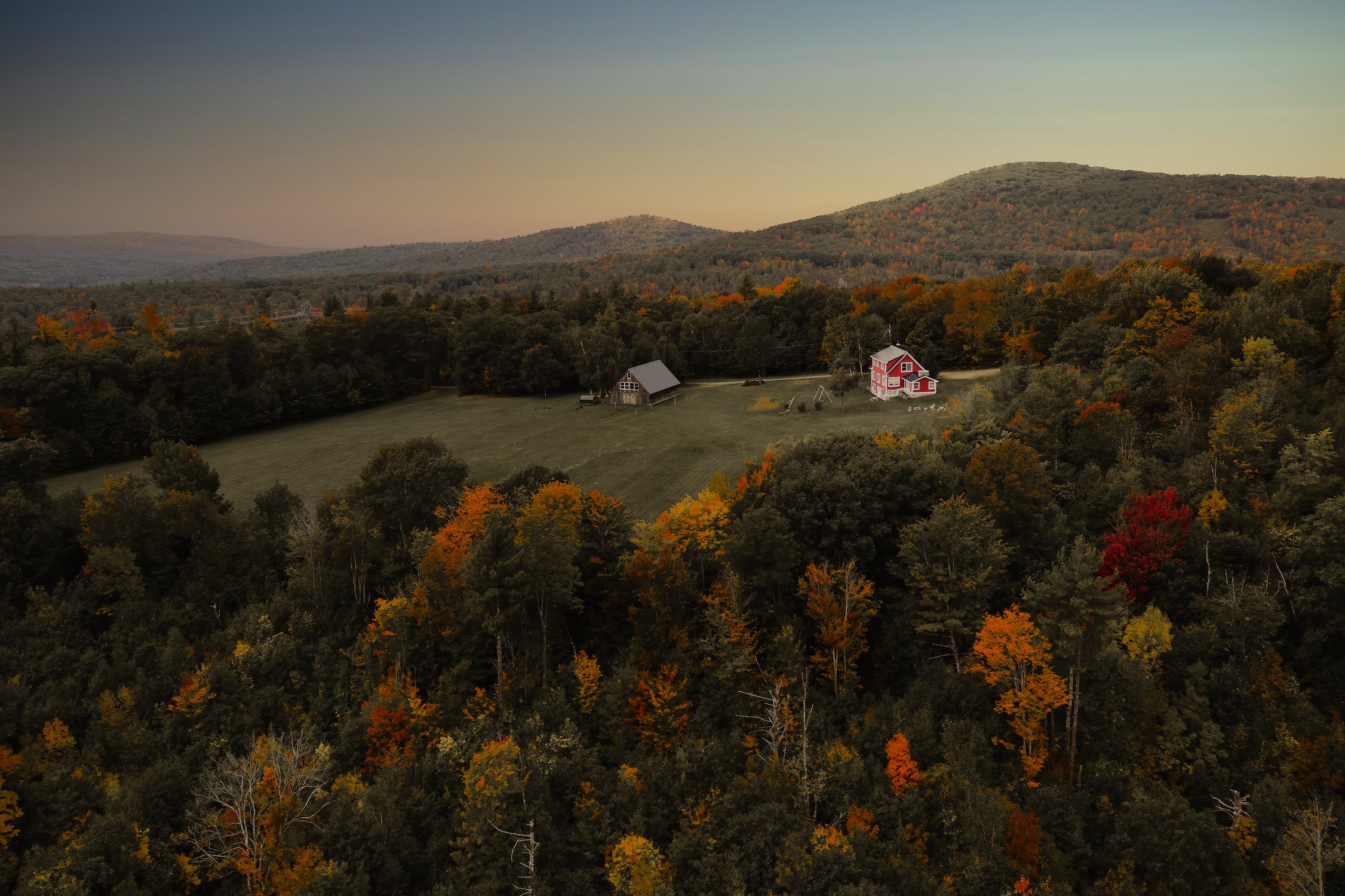 Comment aménager un terrain boisé ?
