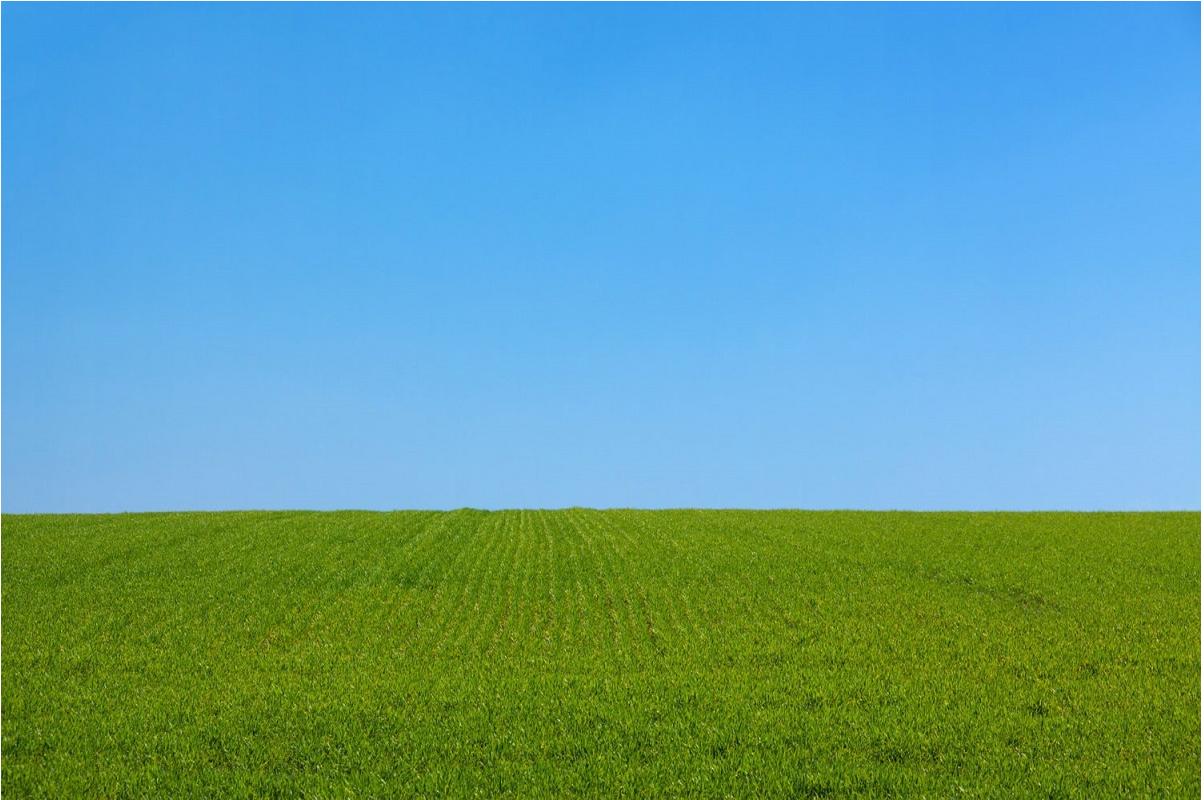 quelles-precautions-prendre-avant-l-achat-d-un-terrain-isole