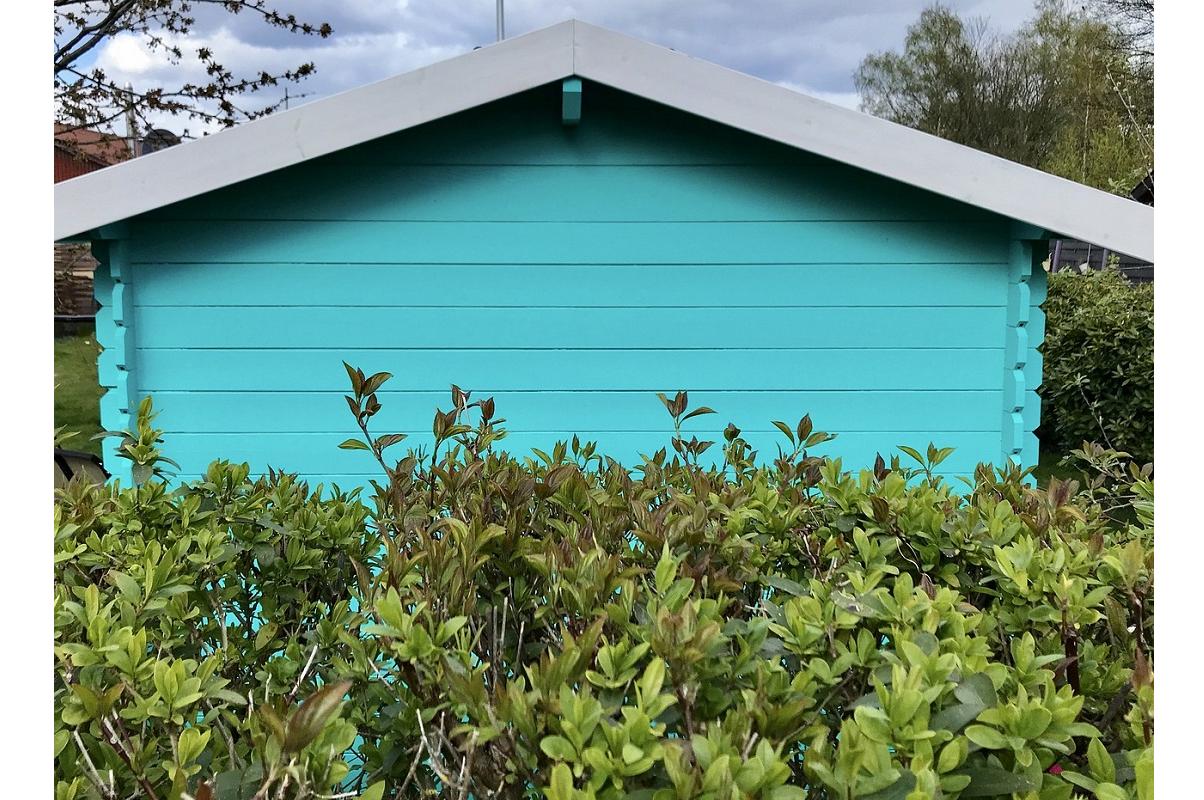 quelles-plantes-faire-pousser-pour-eviter-les-vis-a-vis