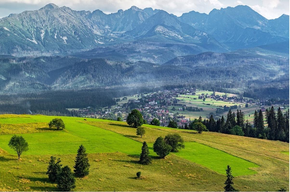 qui-contacter-pour-viabiliser-un-terrain