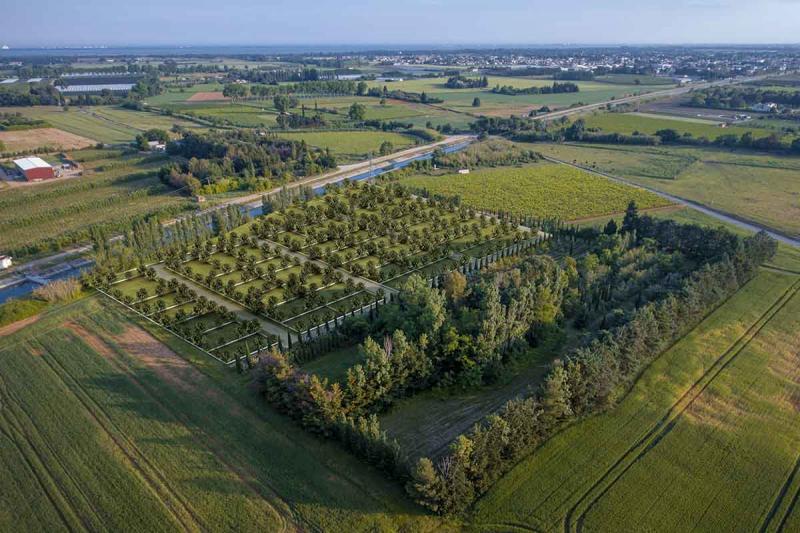 photo HAPPY GARDEN HOUR - Parcelles de jardins