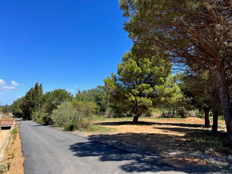 photo LE LLEBEMANS TRANCHE 1