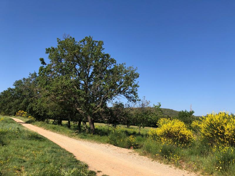 photo LE LLEBEMANS TRANCHE 1