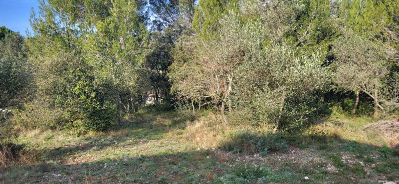 photo LES HAUTS DE VERGEZE 3