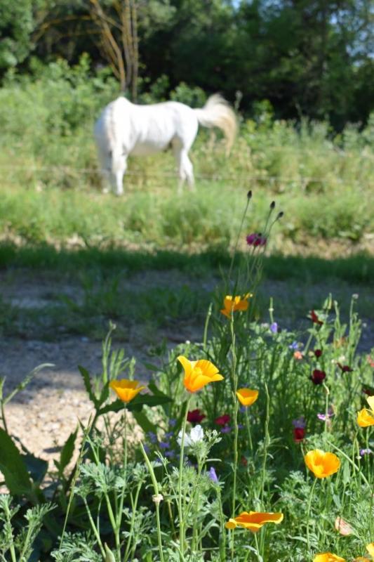 photo LES HAUTS DE VERGEZE 3