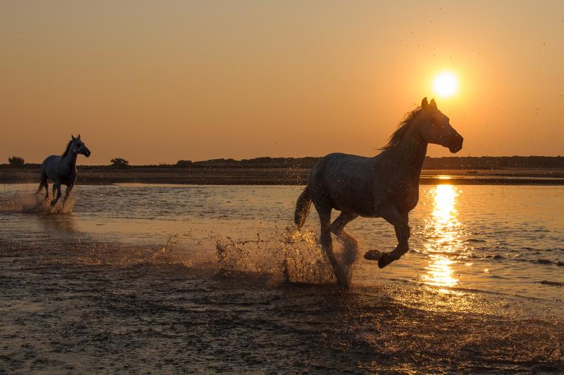 photo LE CLOS DE PIOCH BADET