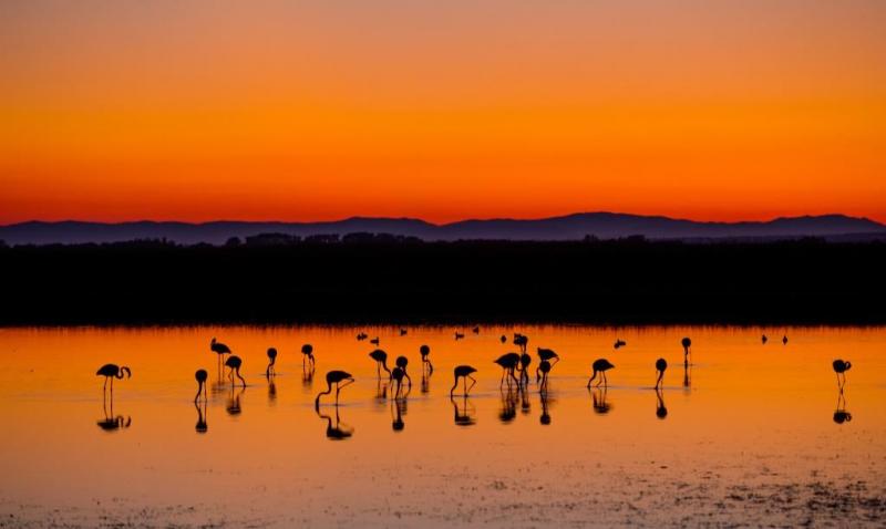 photo LE CLOS DE PIOCH BADET