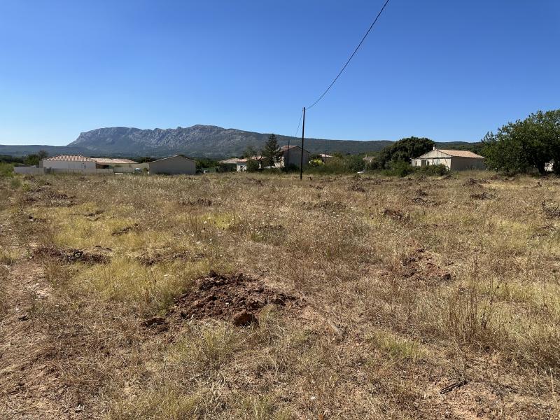 photo LA VIGNE ROUGE