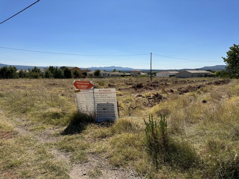 photo LA VIGNE ROUGE