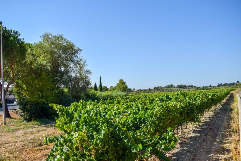 photo LE JARDIN DES ECOLES