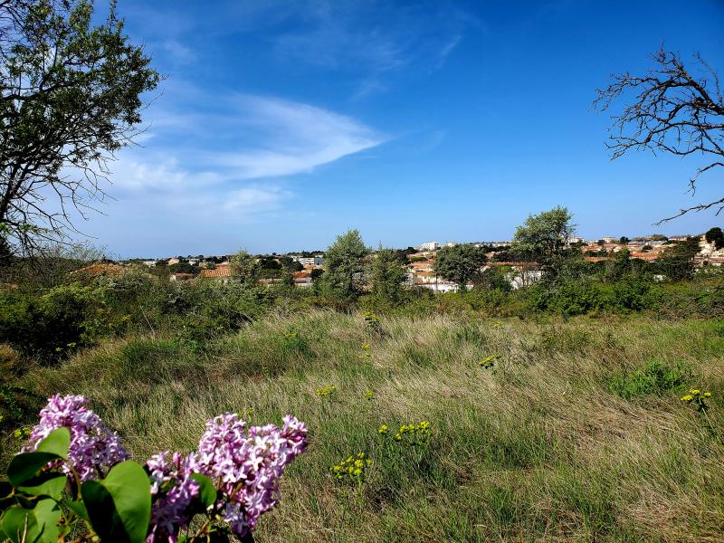 photo FRIGOULAS T2 PH2 B