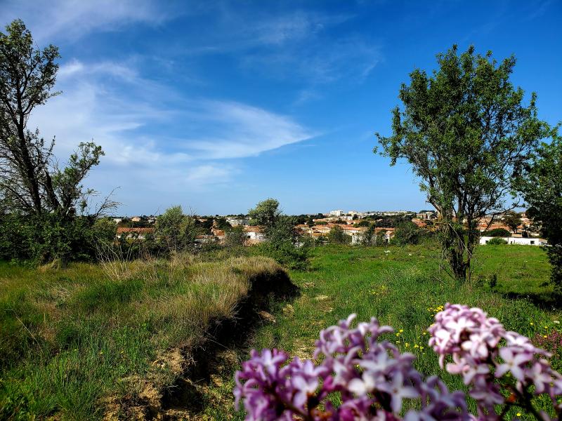 photo FRIGOULAS T2 PH2 B