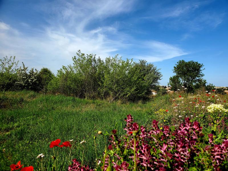 photo FRIGOULAS T2 PH2 B