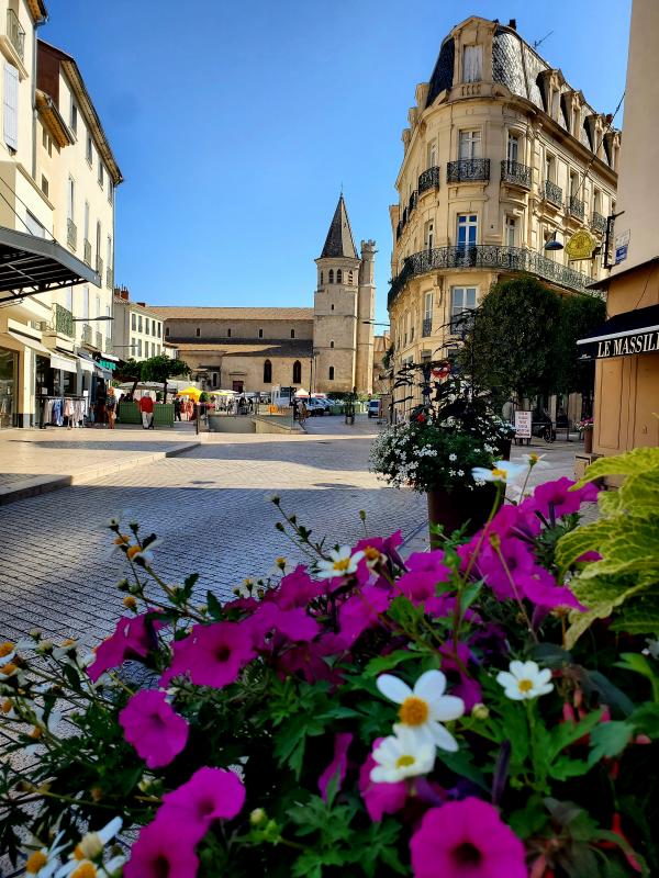 photo FRIGOULAS T2 PH2 B