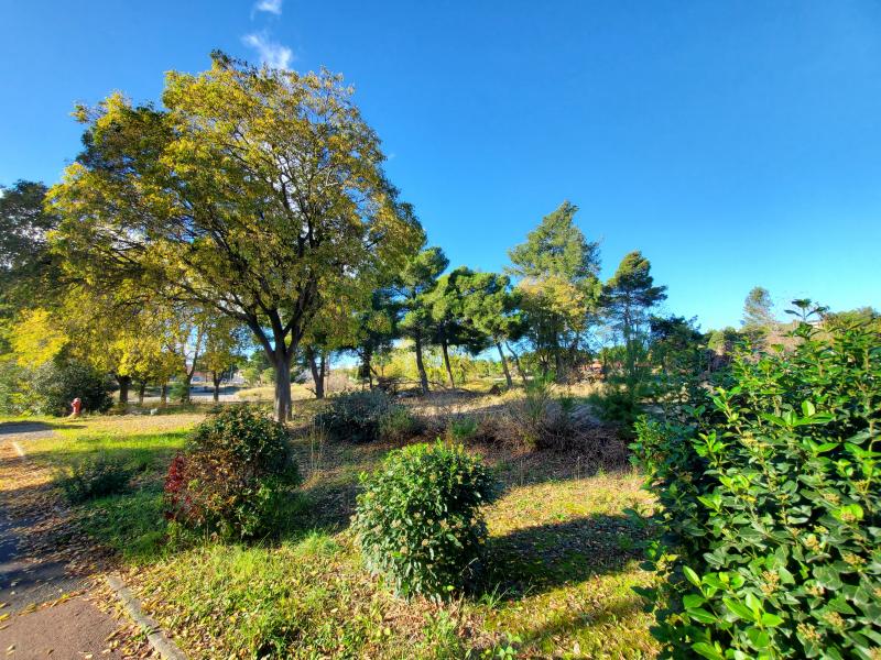 photo RENAISSANCE T2