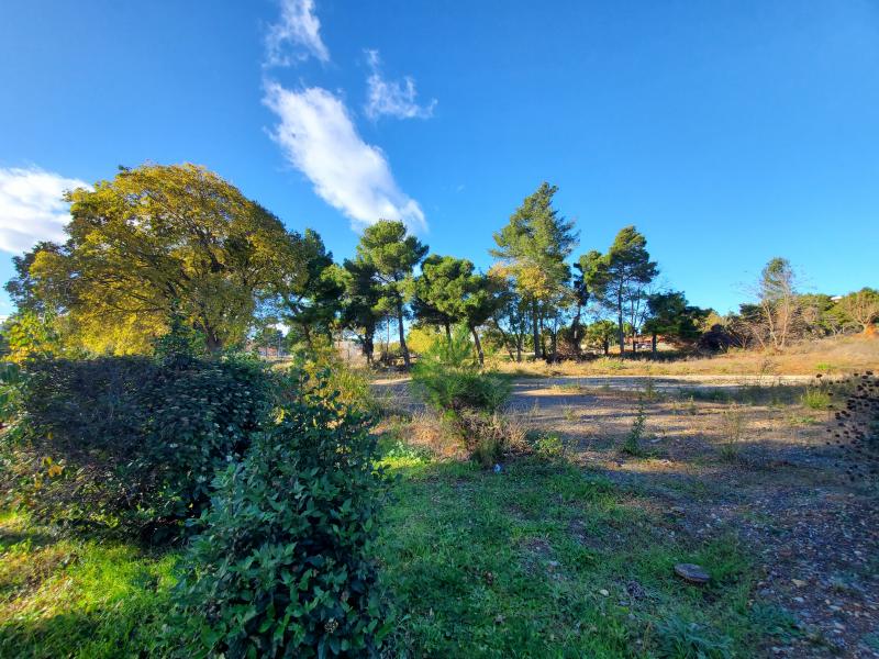 photo RENAISSANCE T2