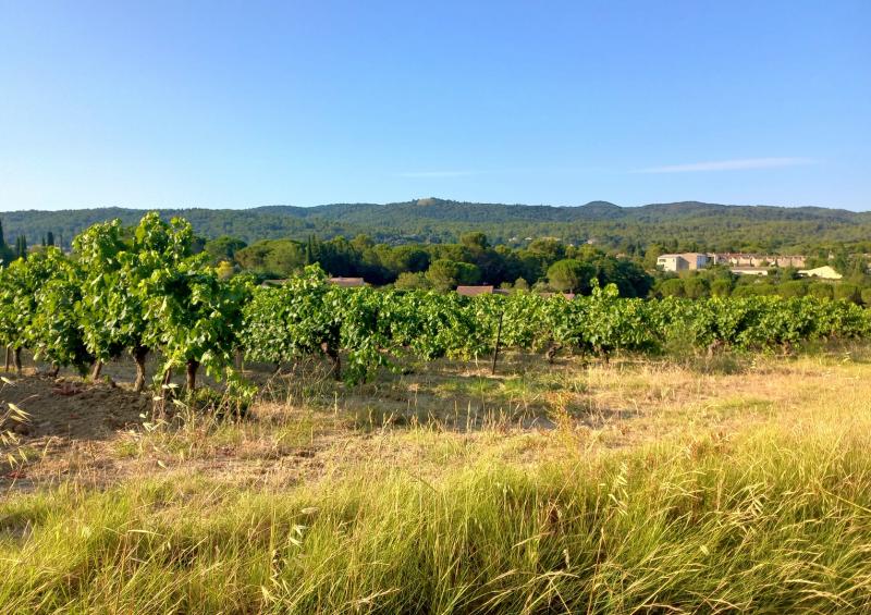 photo LE CLOS DES GENETS