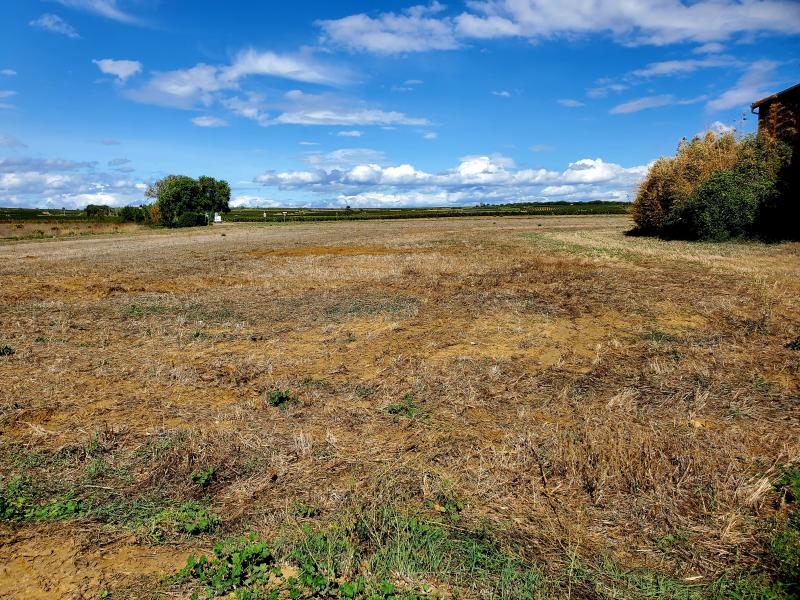 photo LE CLOS CHRISTIAN
