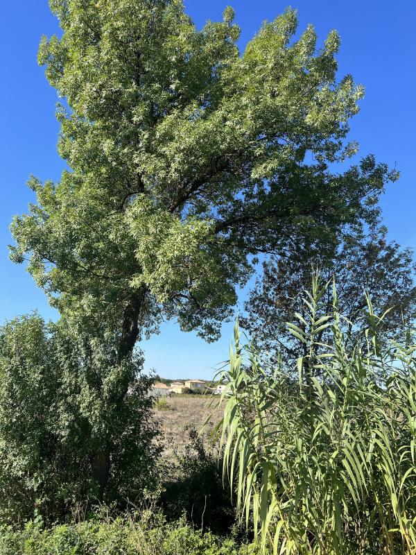 photo LE CLOS CHRISTIAN