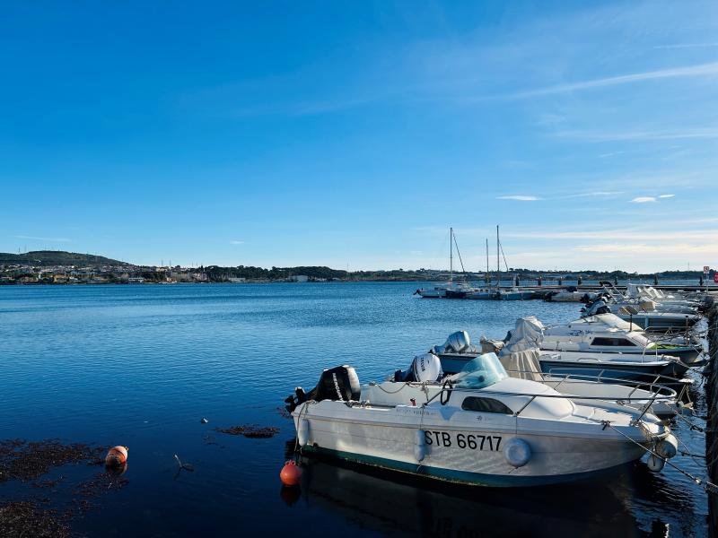 photo LE DOMAINE DU VIGNÉ T5